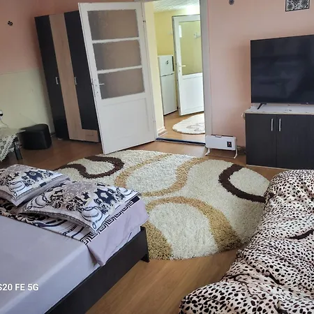 Guest house La Izvorul Putinei *